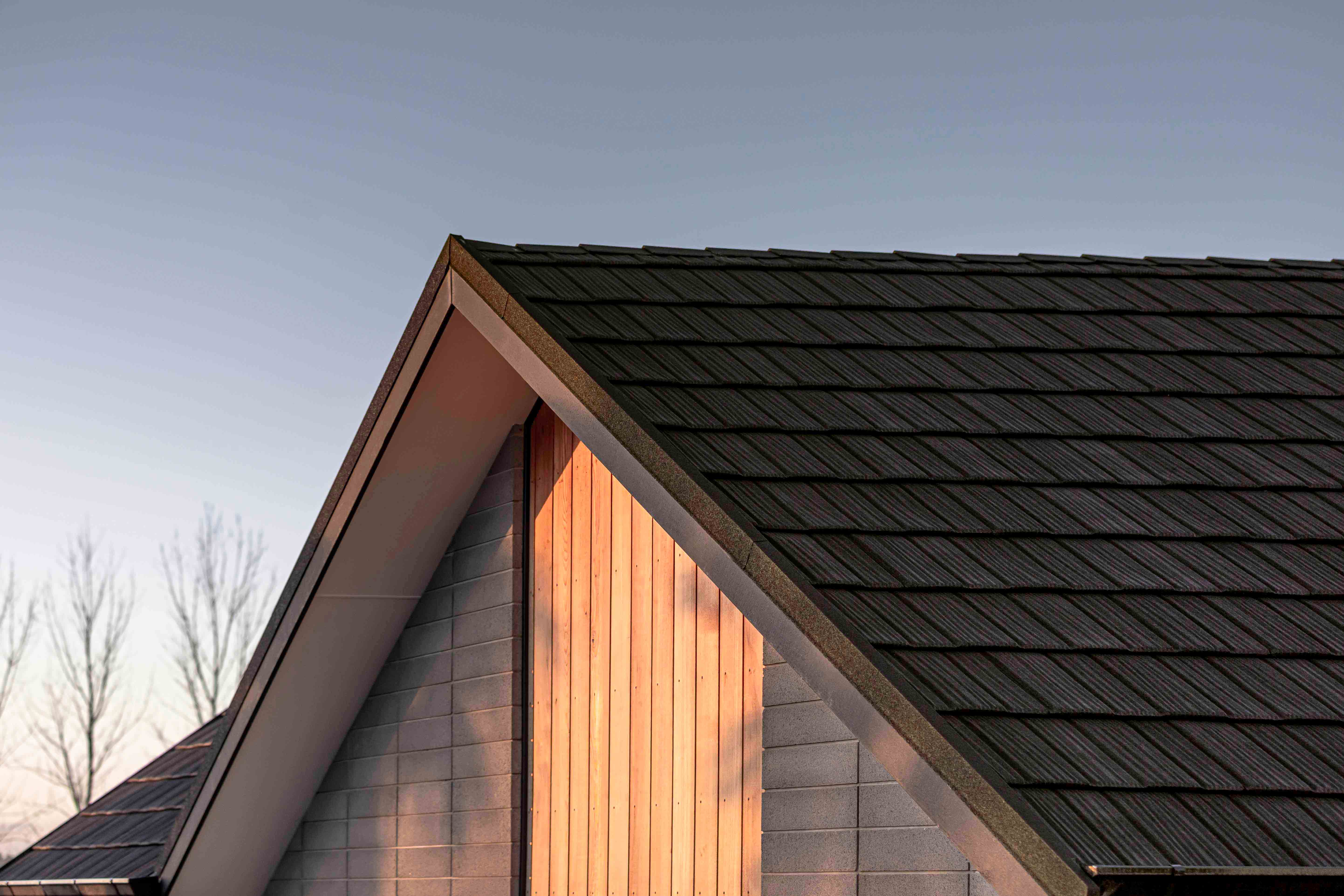CF Shake, Charcoal Blend, New Build, New Roof, Architecturally Designed, Close Up, Cedar Cladding